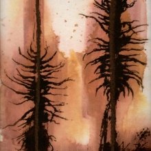 Jeanne Lorenz